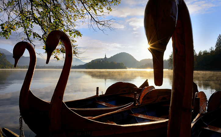 1 Day Photography Tours